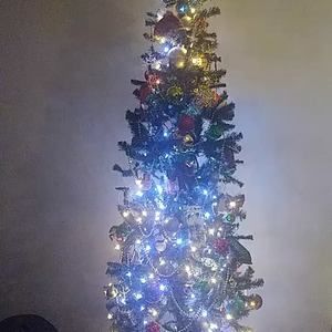 Meet your Posher, Amelia